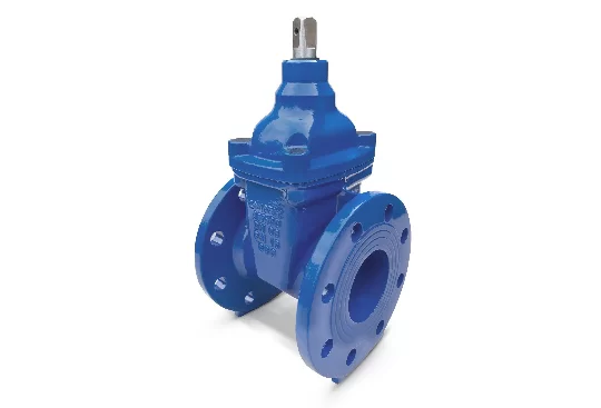 Zasuwa kołnierzowa DN80 fig 111_P